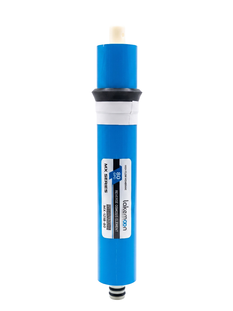 MX 80